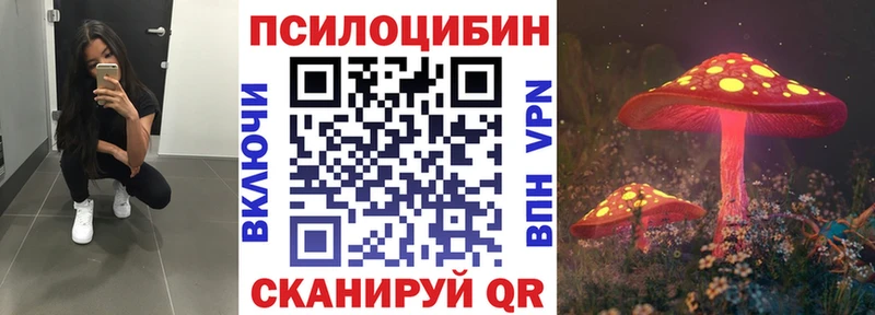 Купить  Давлеканово  Псилоцибиновые грибы Cubensis 